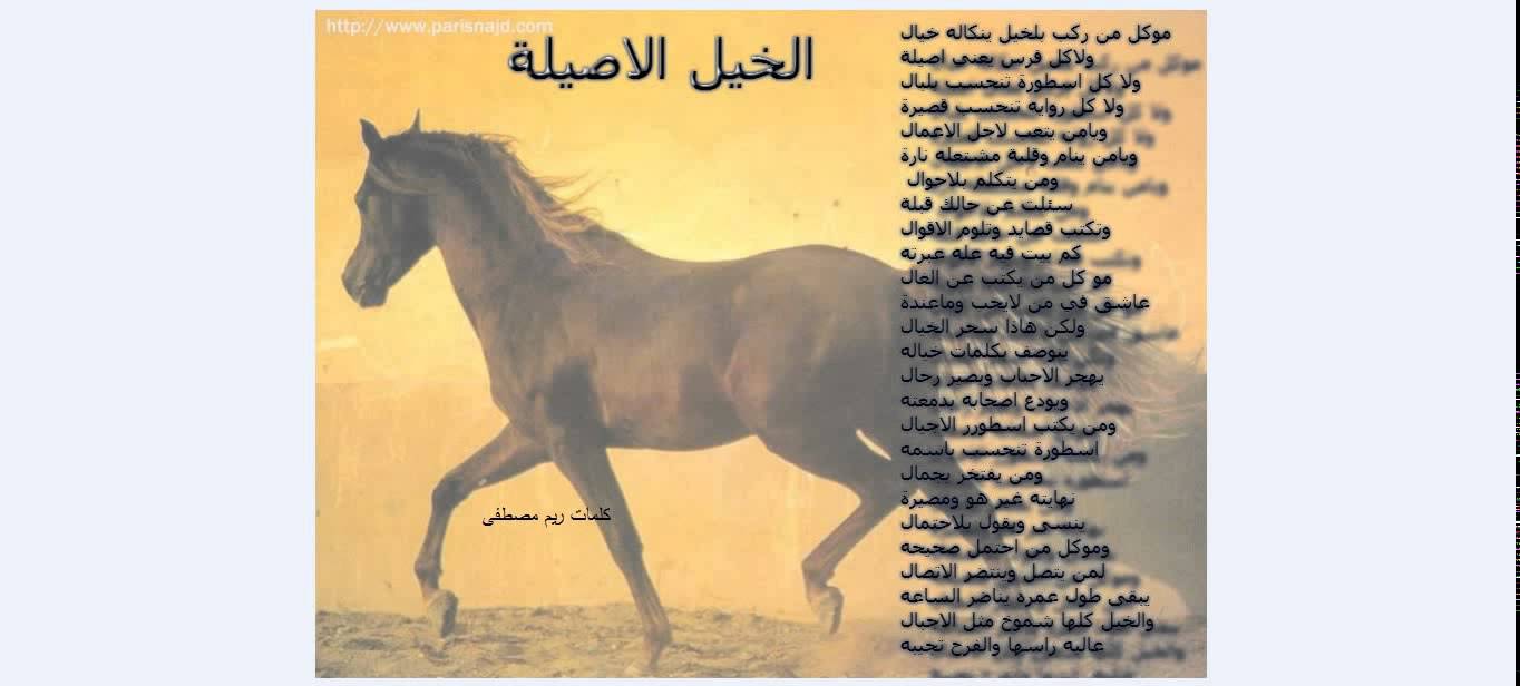 شعر عن الخيل , اجمل شعر قيل عن الخيل