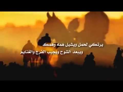 مقولات عن الاخ - اهمية الاخ الحنين فى الحياة 219 8