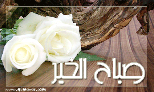 اجمل صور صباحيه - احلى الصور الصباحيه 5922 1