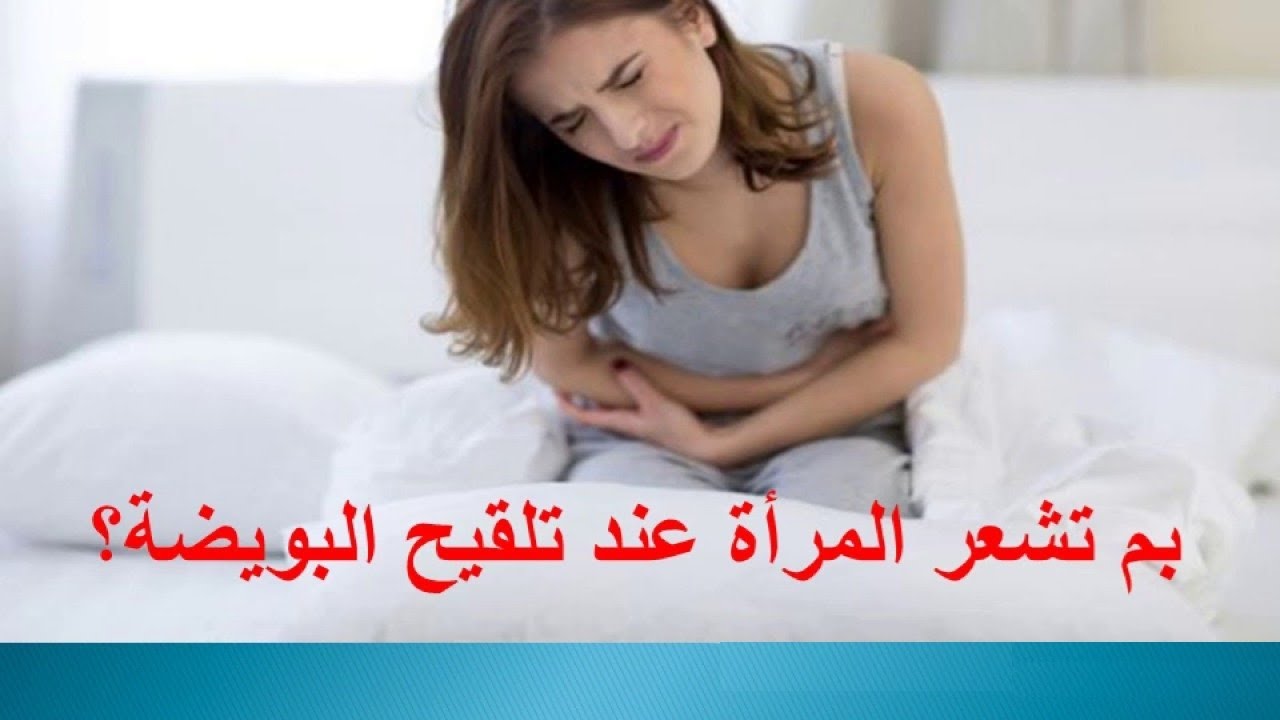 عند تلقيح البويضة ماذا تشعر المراة -معلومات مهمه هتفيدك 2455