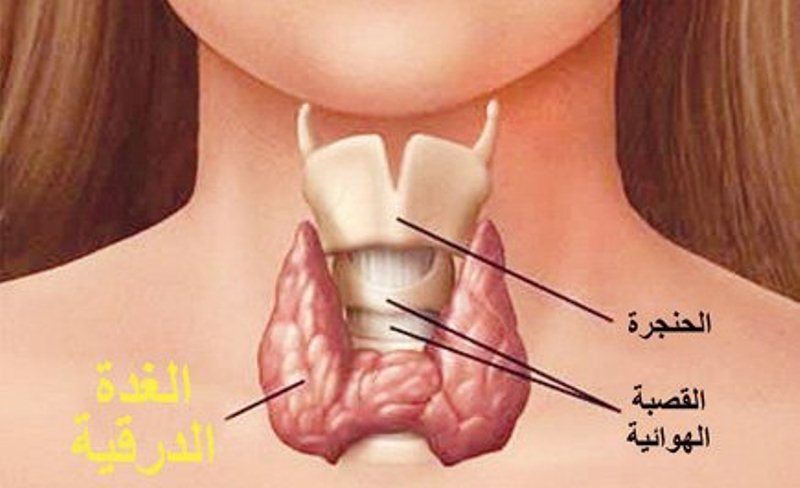 مرض الغدة الدرقية - اعراض اصابات الغدة الدرقية 686 1