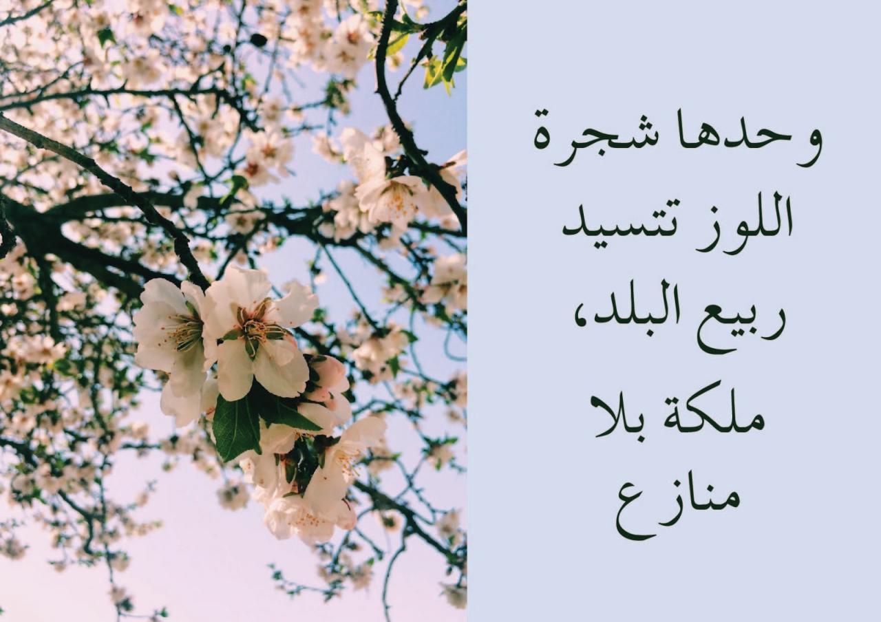 شعر عن الربيع 4075 14