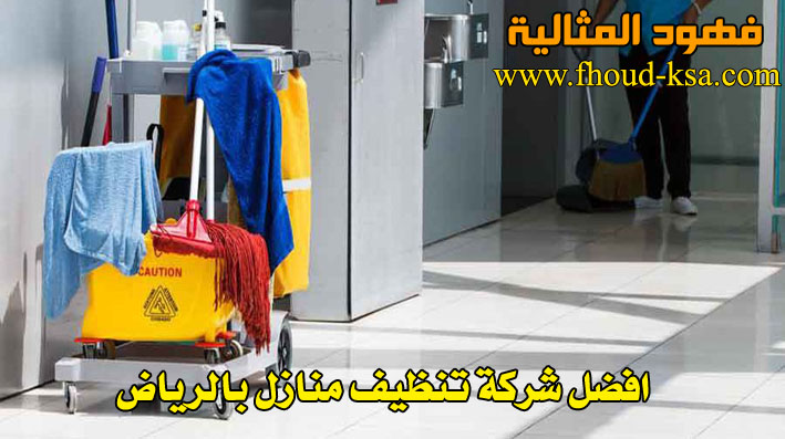 شركة تنظيف منازل بالرياض - افضل شركات التنظيف في الرياض 1246 3