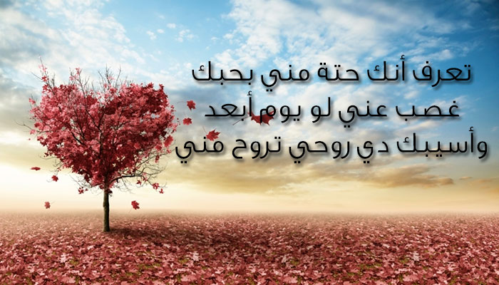 بوستات حب 2019 1042 5