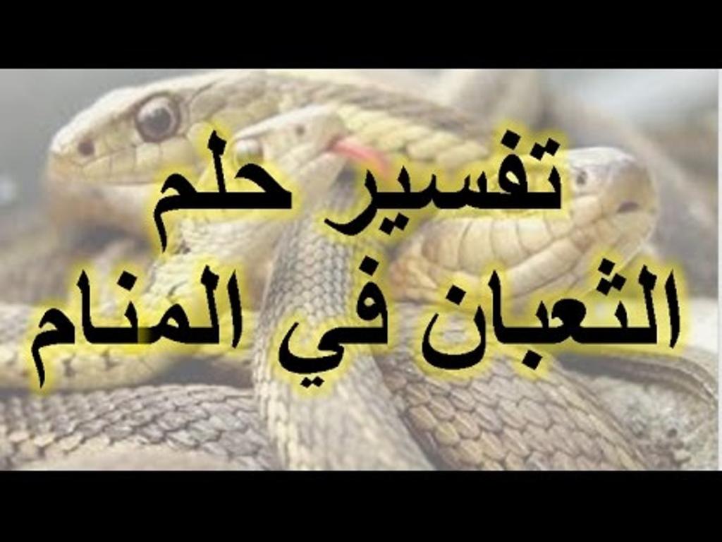 تفسير رؤية الثعابين في المنام 11718