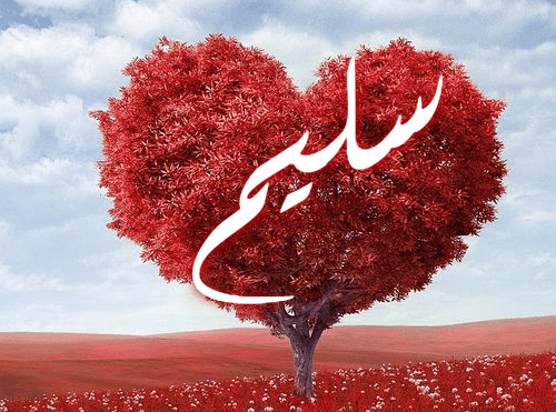 معنى اسم سليم - اجمل معنى لاسم سليم 1816