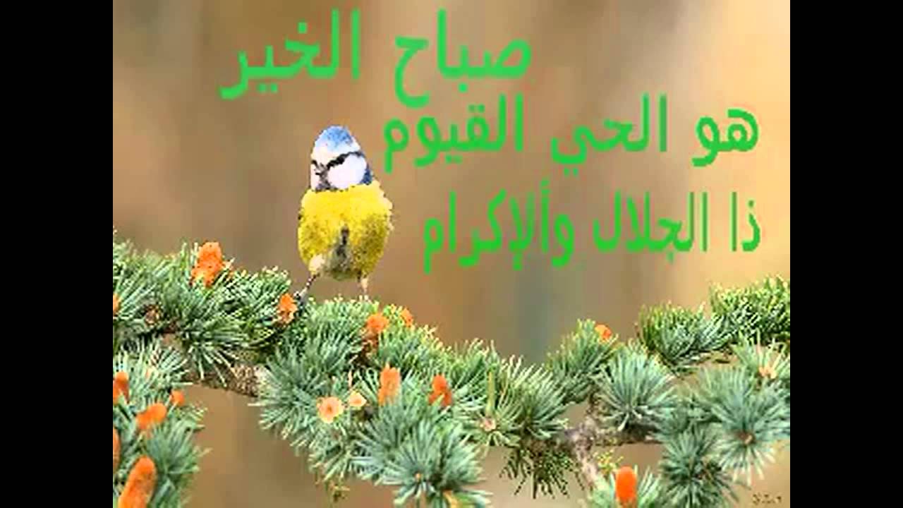 صور صباح ومساء - اجمل صور لصباح ومساء الخير جديده 3634 4