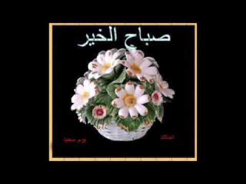 خلفيات زهور - اروع الصور والخلفيات الروعة الجميلة 482 10