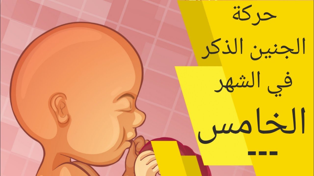 متى يتحرك الجنين الذكر , معلومات هامة لكل أم