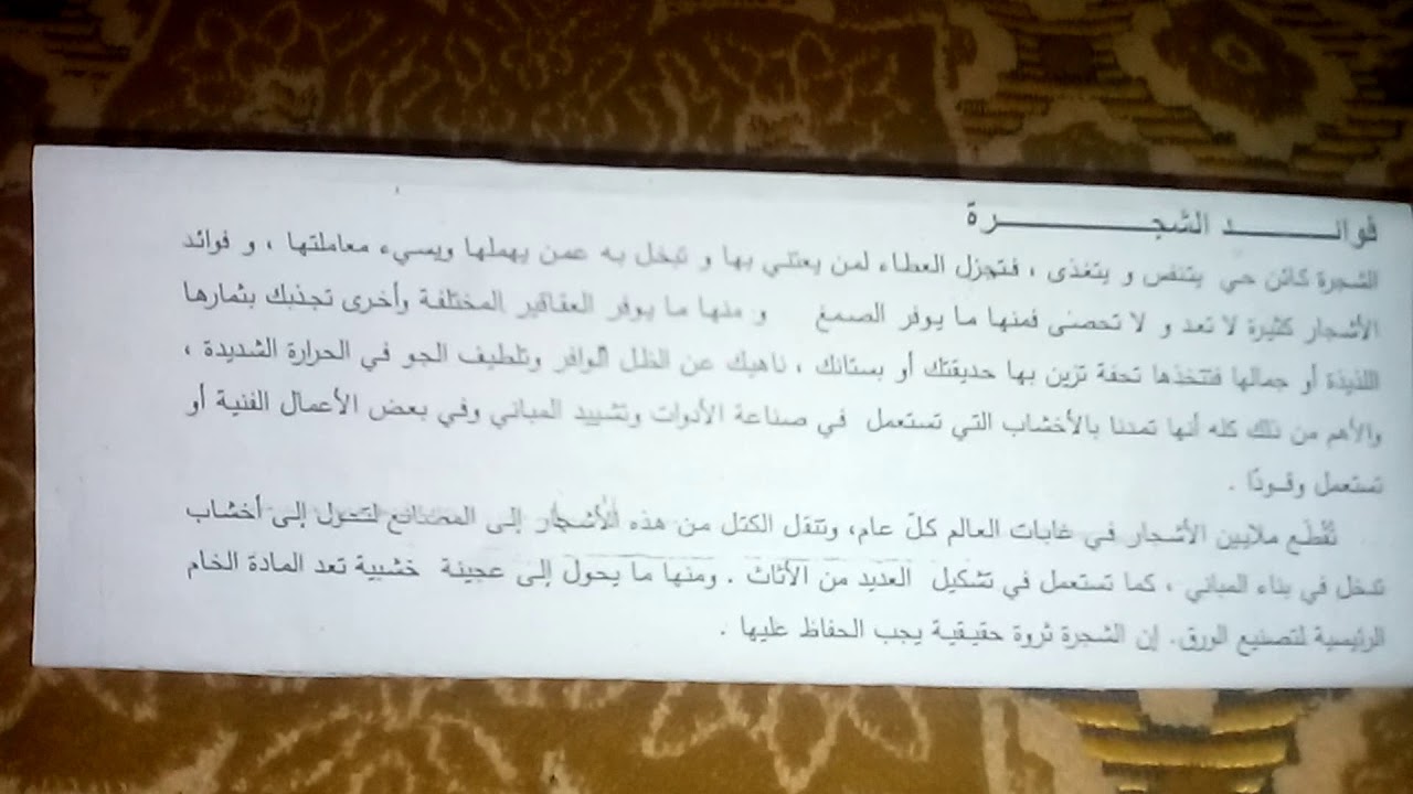 تعبير عن يوم الشجرة - موضووعات للتعبير 12060 1