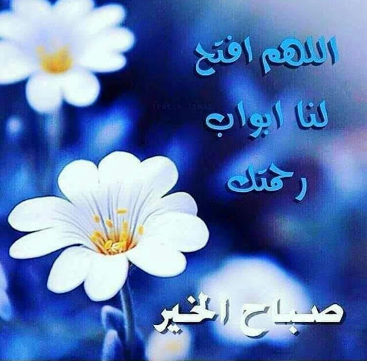 كلمات صباحية رائعة 5038 7