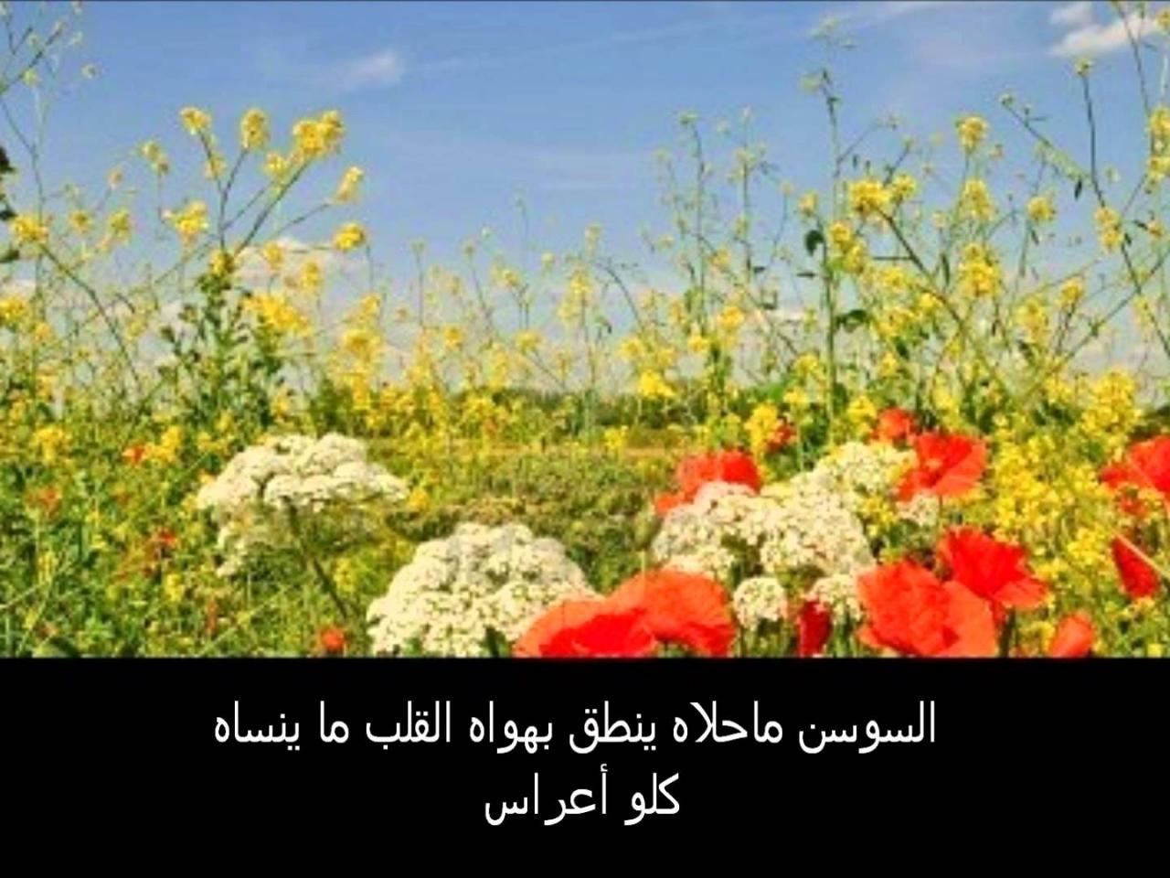 شعر عن الربيع 4075 5