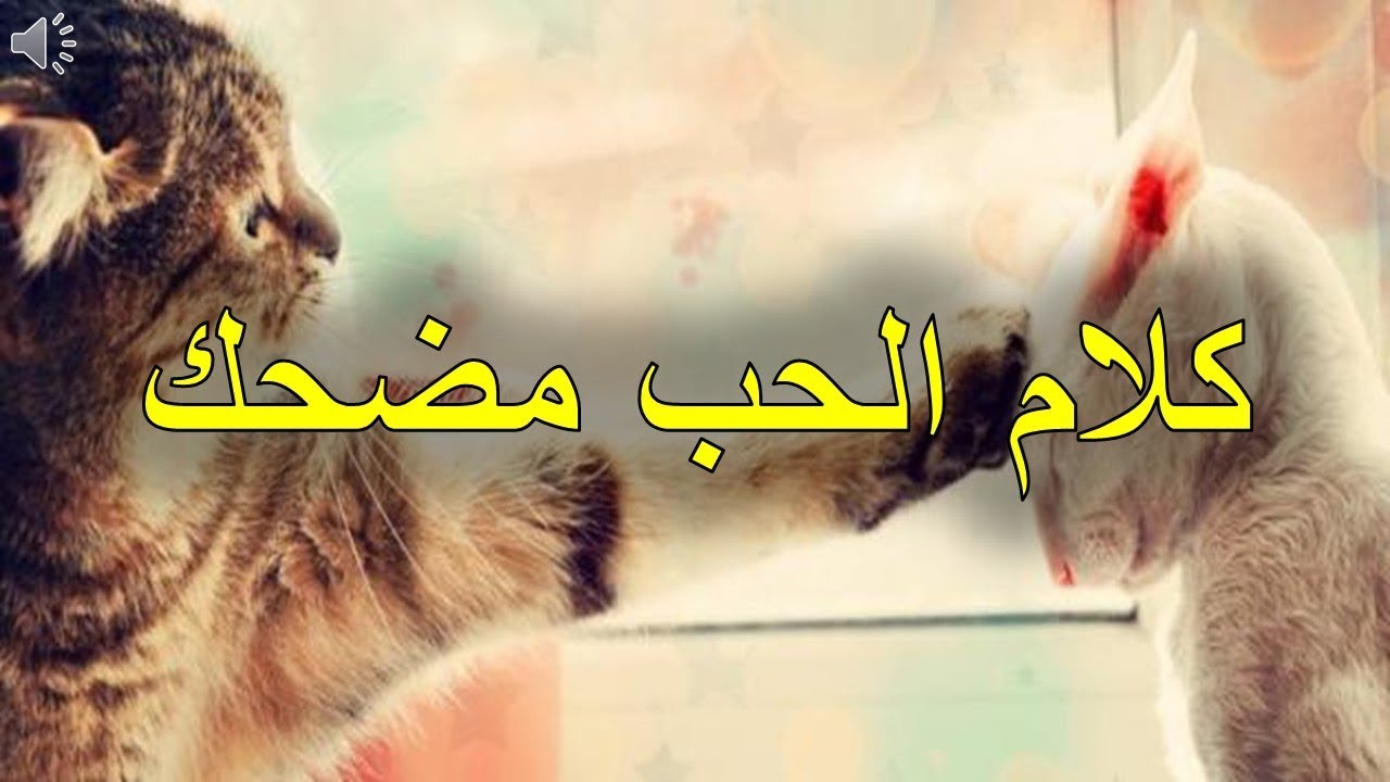 صور مضحكة عن الحب - احسن الصور المضحكه عن الحب 3253 3