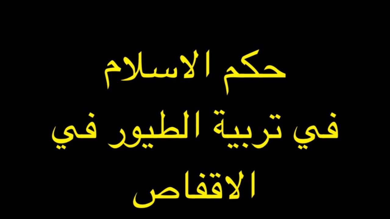 حكم تربية الطيور - أنواع الطيور المنزلية 12340 1