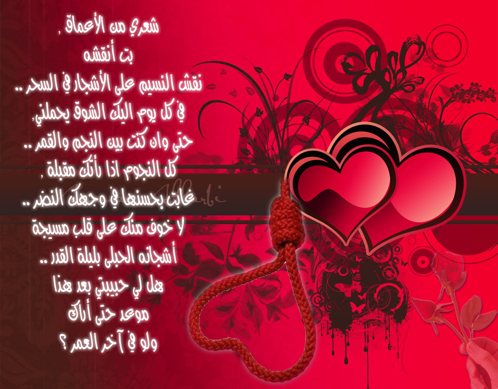 اجمل شعر عن الحب 3913 10