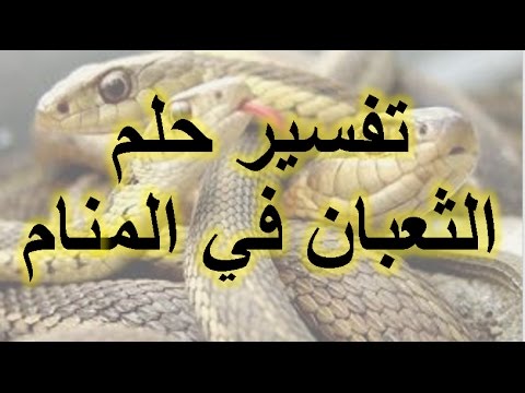 لدغة الافعى في المنام - تفسير لدغة الافعي في المنام 5544 1