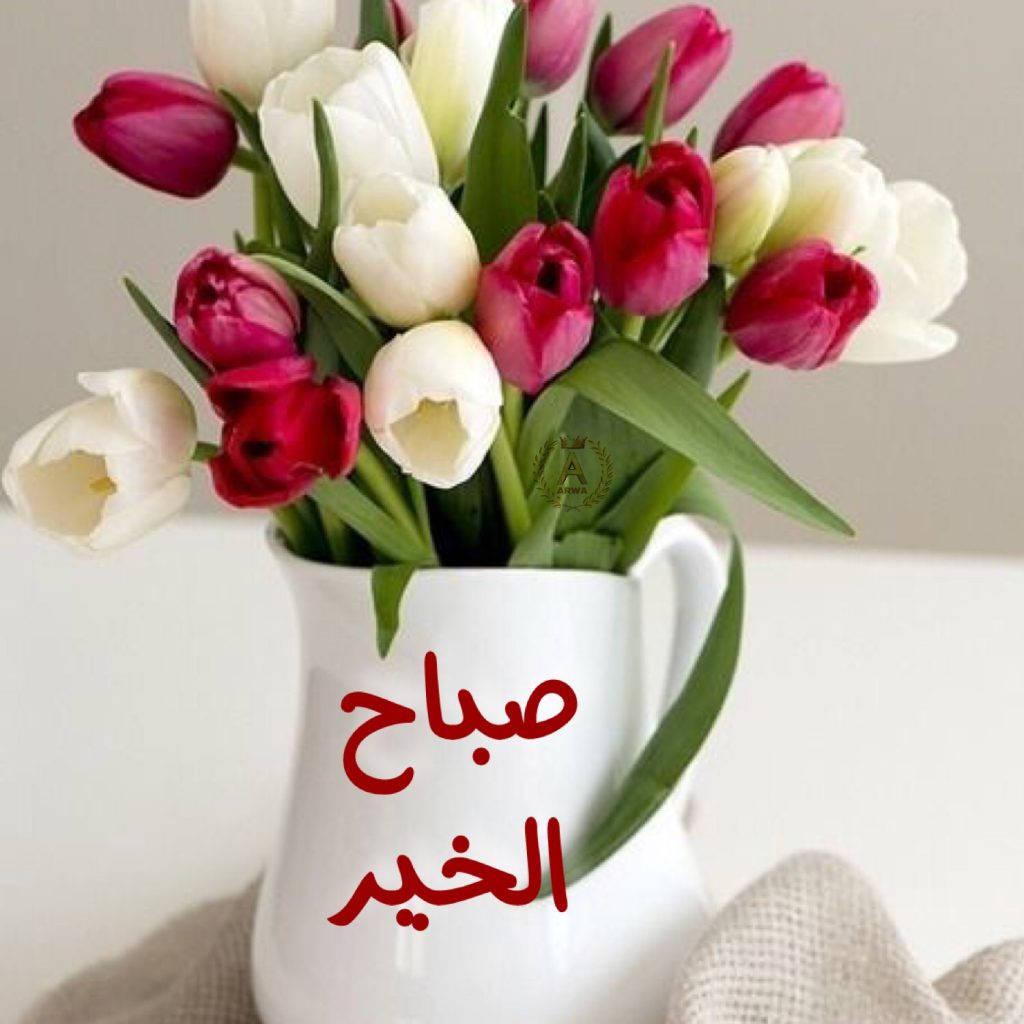 صور عن صباح الخير - اجمل الصور الصباحية 2316 12