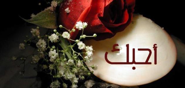 انا احبك - عبارات حب غرام 5493 1