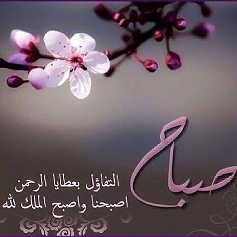 رمزيات صباحيه - صور ورسائل صباحيه 2435 6