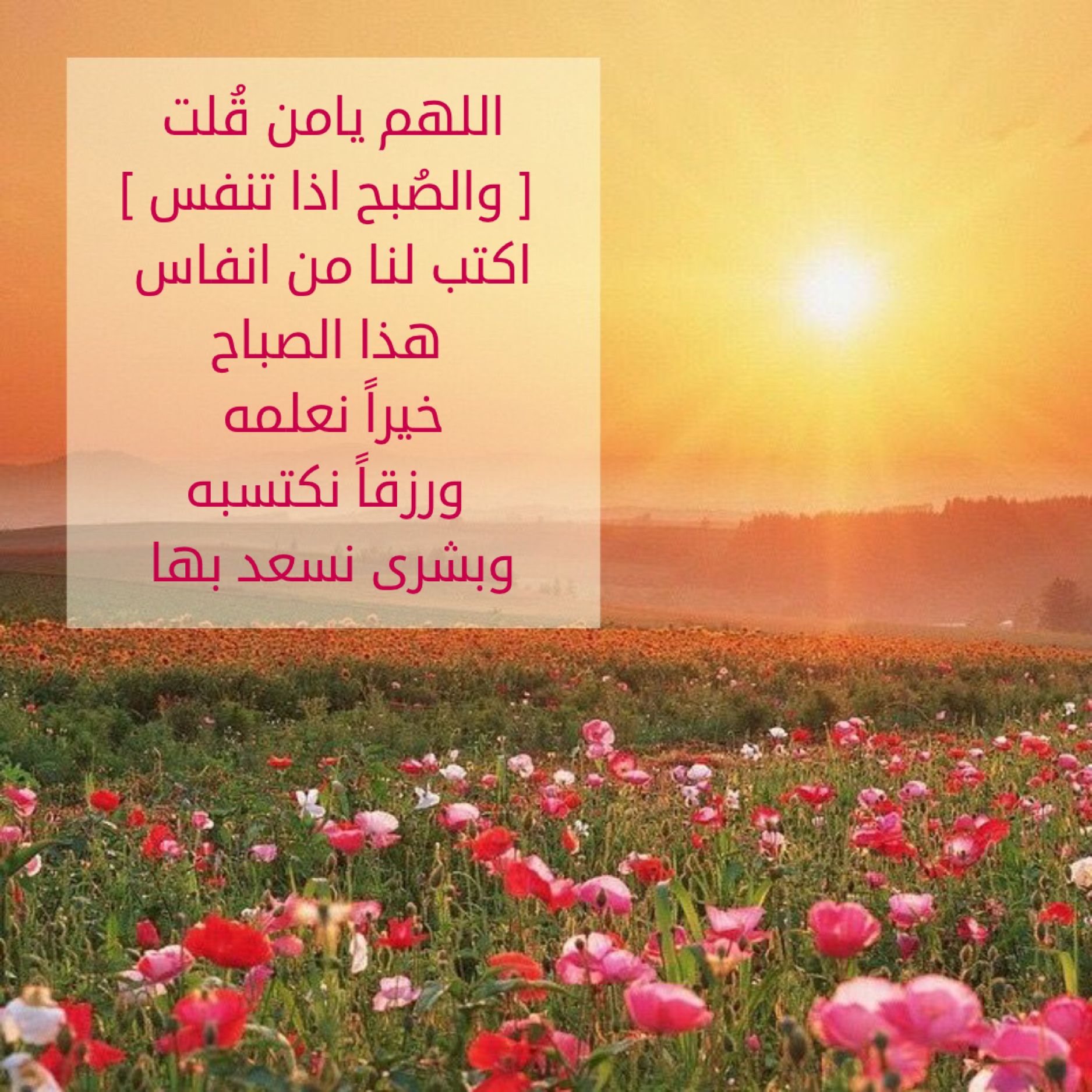 رسائل صباحية دينية , اجمل صباح معطر برسالة ذكر الله