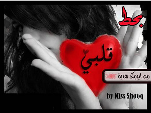 صور مساء الحب - اروع الصور والكلمات فى المساء 496 1