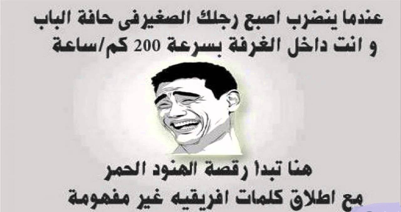 نكت محششين جديد 11733 3