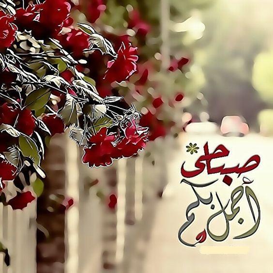 رمزيات صباحيه - صور ورسائل صباحيه 2435