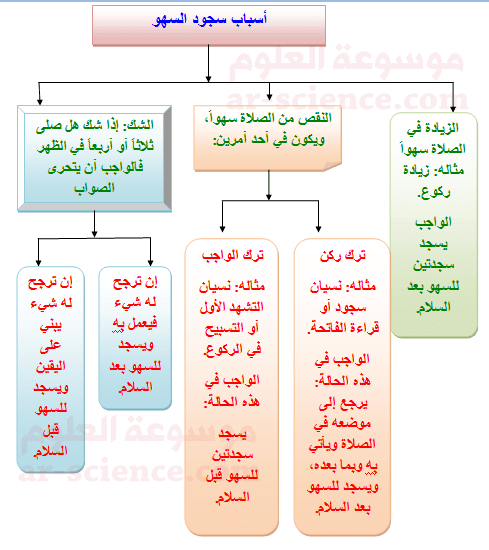 كيفية سجود السهو - كيف يكون سجود السهو وما هي هيئته 1334