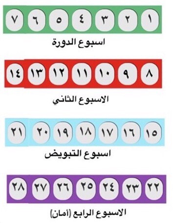 افضل وقت للحمل - ما هو الوقت الامثل لحدوث الحمل 1557 3