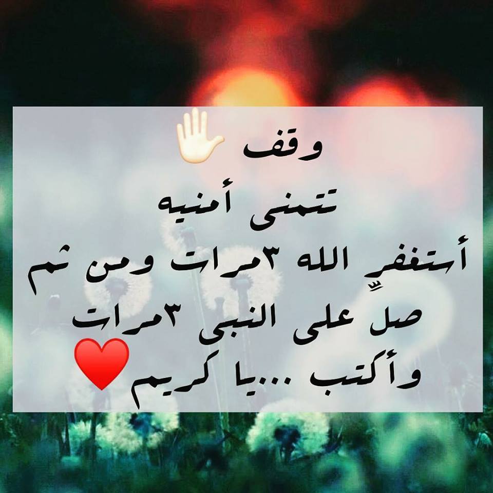 برامج اسلاميه 1064 10