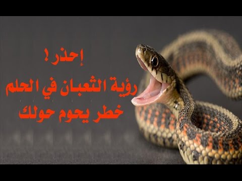 تفسير حلم الثعبان - الافعي فى المنام 5372 1