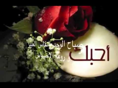 حب ورومانسيه - اجدد عبارات الحب والرومانسية 4273 12