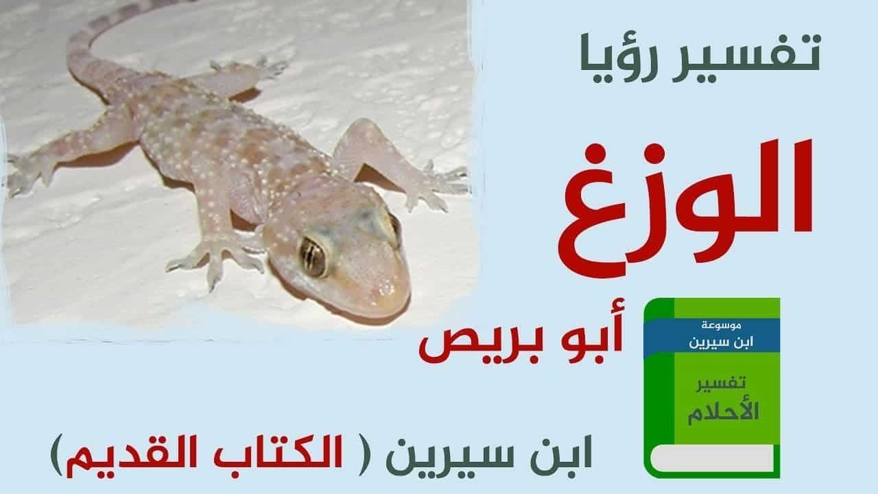 تفسير حلم الوزغ 5047