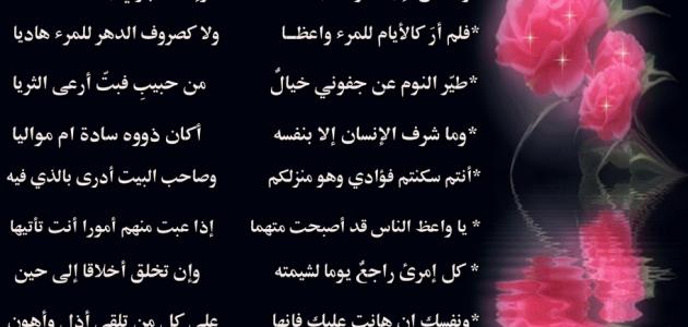 قصائد حب عربية - اجمل قصائد الحب والغزل العربيه 5782 1