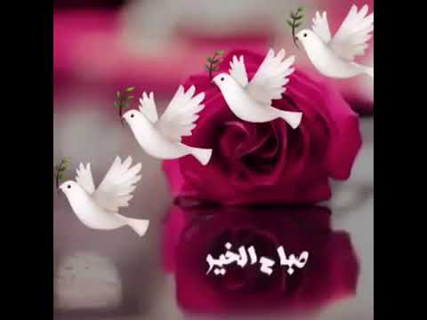 صباح الجمعه - اجمل صباح فى الاسبوع 141 6