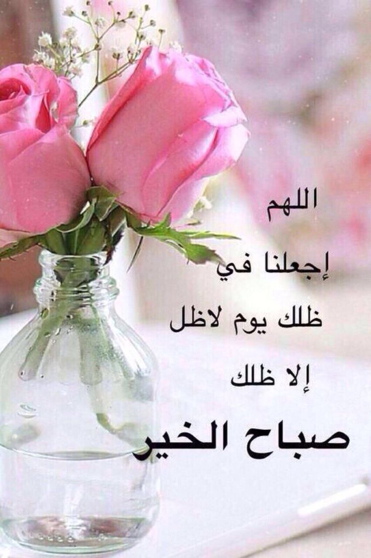 رمزيات صباحيه - صور ورسائل صباحيه 2435 9