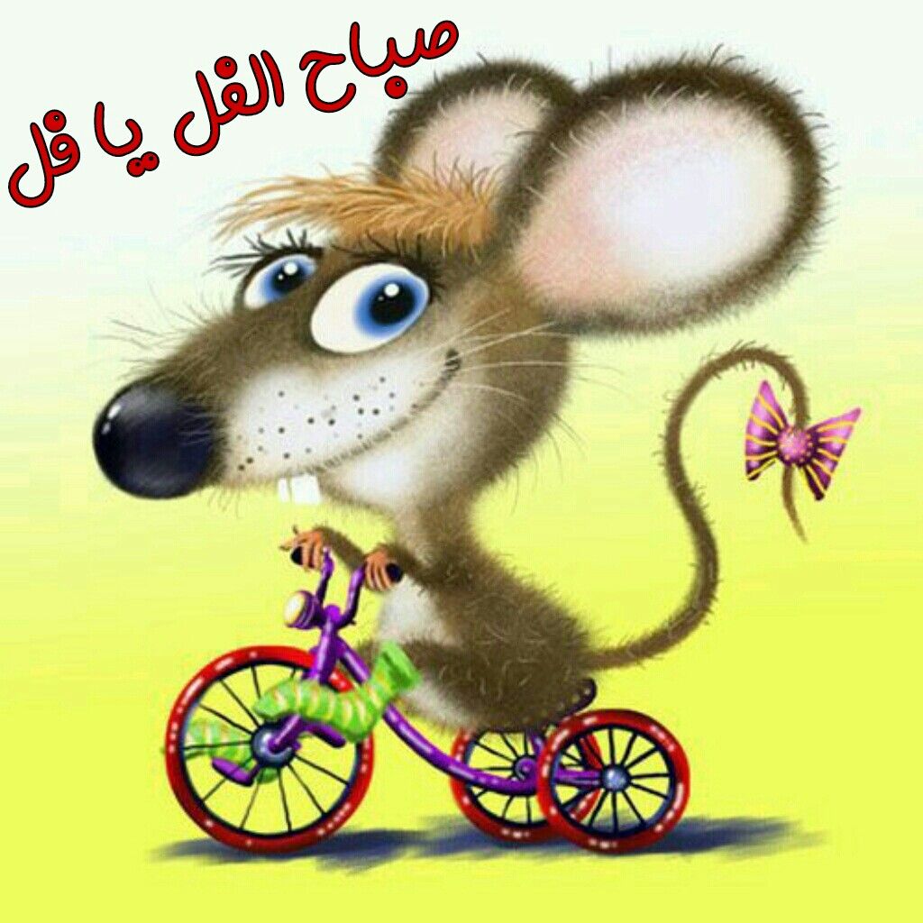 صباح الفل - يا صباح الفل والياسمين والزهور الجميلة 1486 6