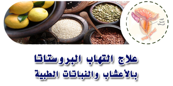 علاج البروستاتا بالاعشاب , كيفيه علاج البروستاتا بالاعشاب