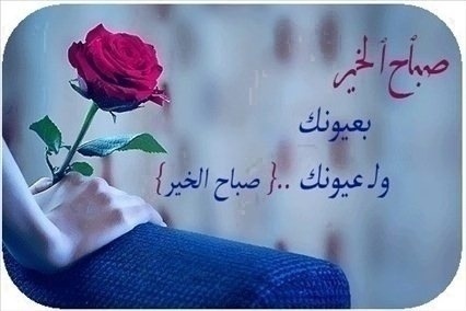 صباح الخير رومانسية - كلمات صباحيه رومانسيه روعه 6448 7