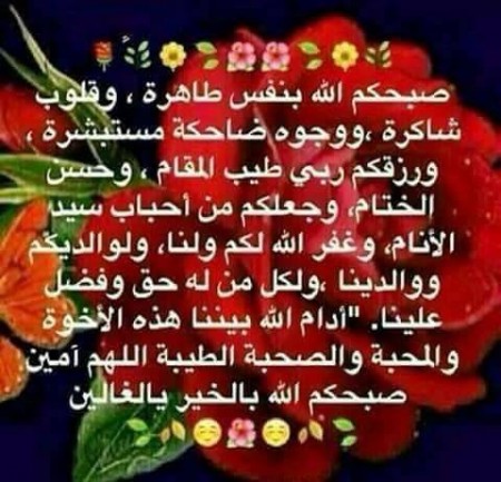 اجمل صباح الخير - اجمل العبارات لصباح الخير 1169 7