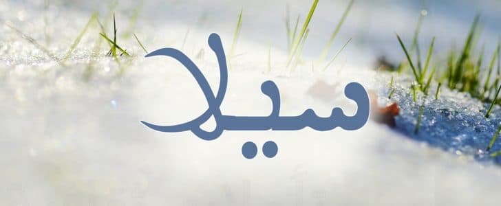 معنى اسم سيلا - ما هو اسم سيلا وما المقصود منه 1366 1