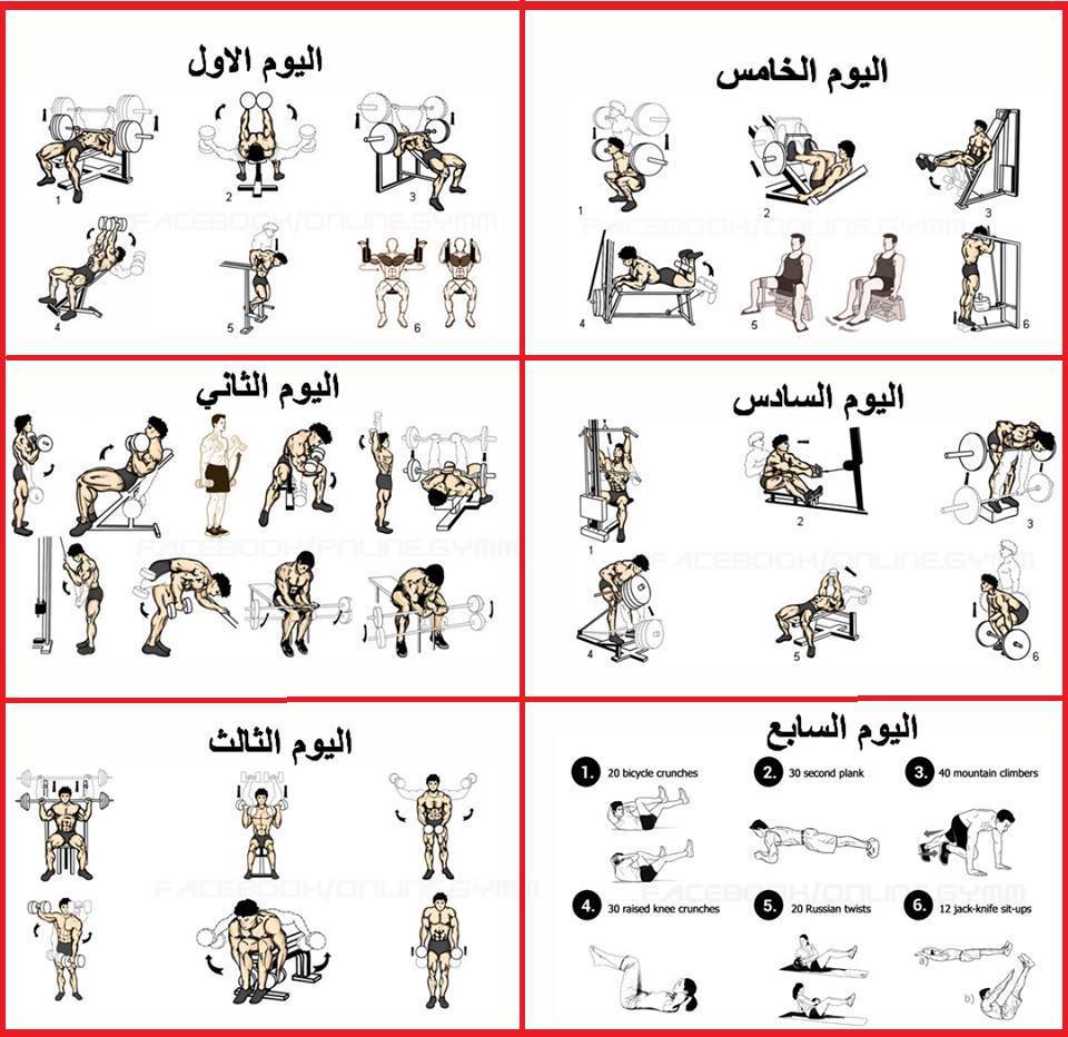 تمرين العضلات 3179 7