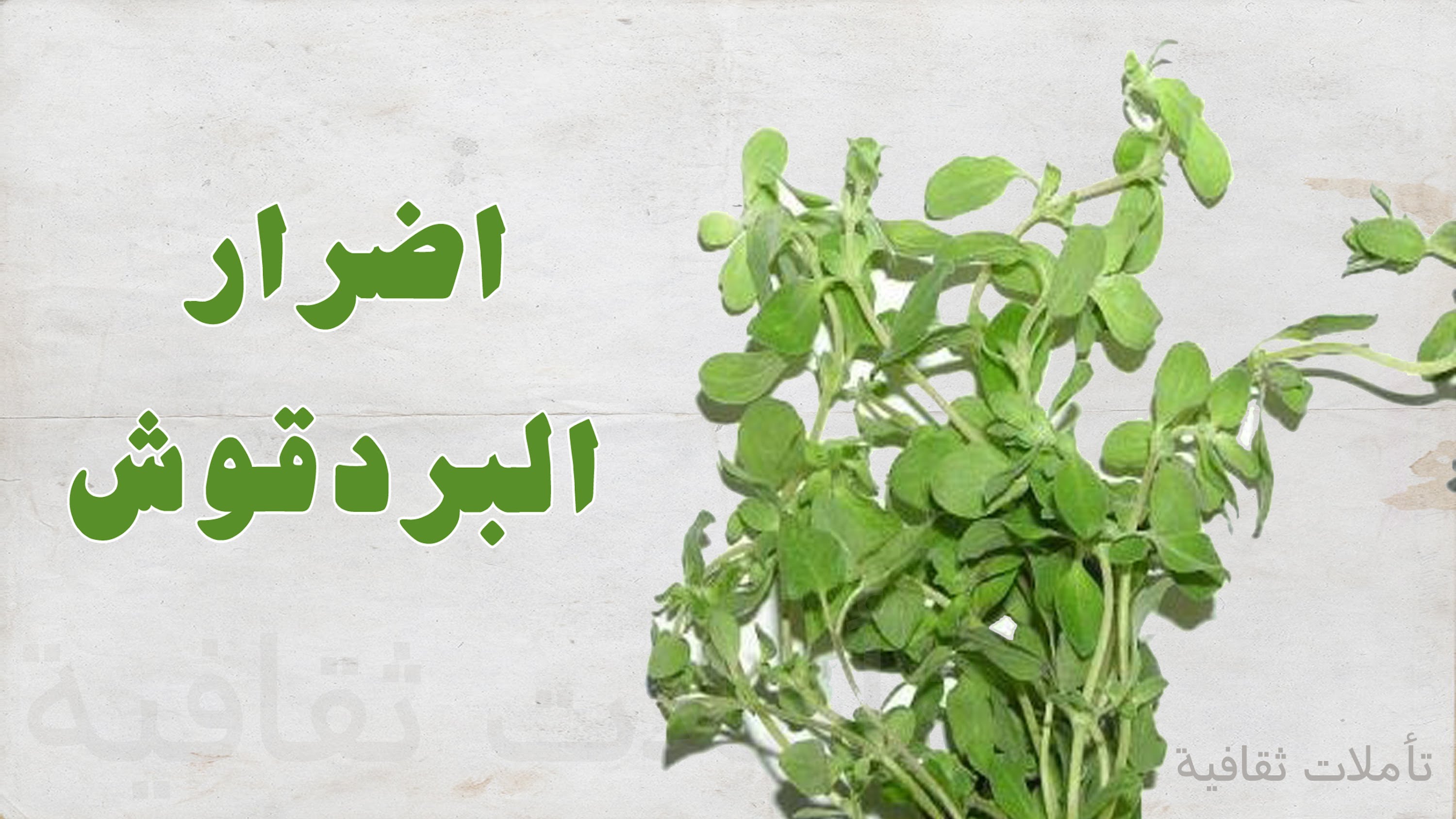 اضرار البردقوش , ماهى اضرار البردقوش