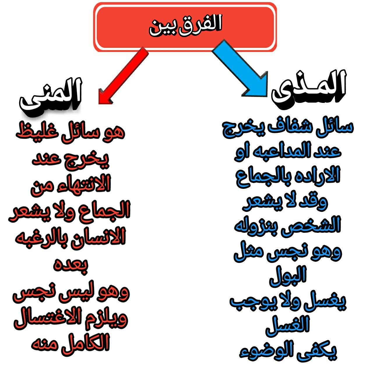 ماهو المذي 4606