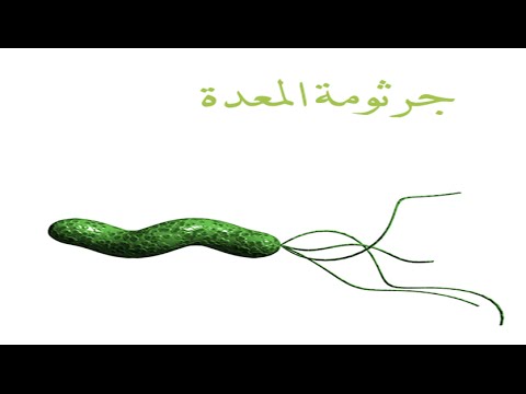 اعراض جرثومة المعدة - اهم اعراض جرثومة المعدة 5580 3