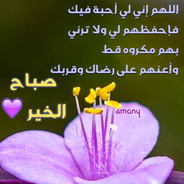 اجمل صباح الخير - اجمل العبارات لصباح الخير 1169 8