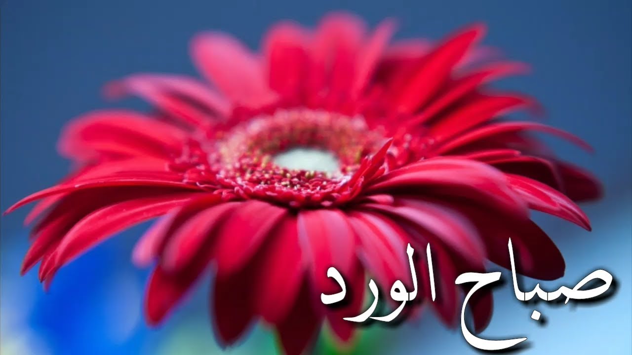 ابيات شعر صباح الخير - أجمل صباح 12063 7