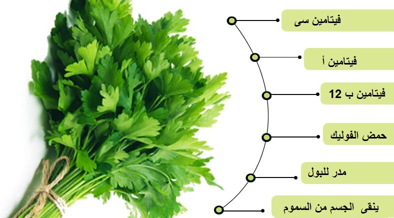 فوائد البقدونس , القيمة الغذائية للبقدونس