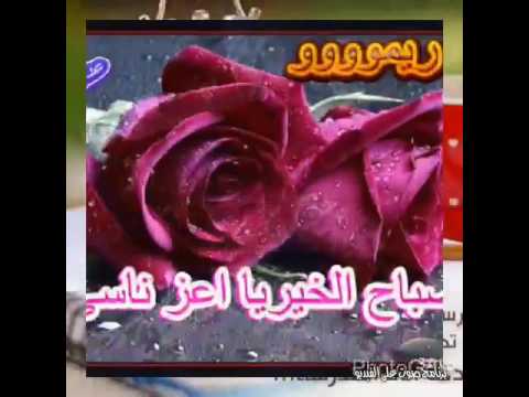 اجمل الصور مساء الخير متحركة - كلمات وعبارات عن المساء 128 9