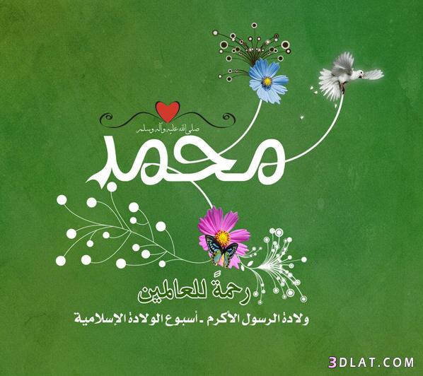 صور للمولد النبوي - عبارات ورسائل للمولد النبوى بالصور 6159 9